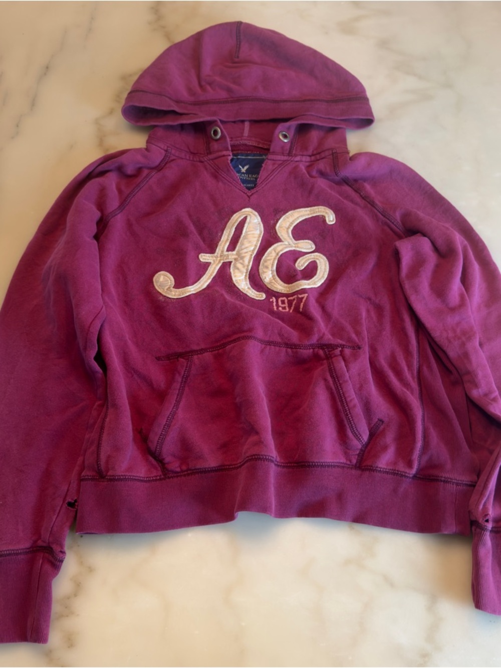American Eagle Outfitters Plum Hooded Sweatshirt with AE Logo